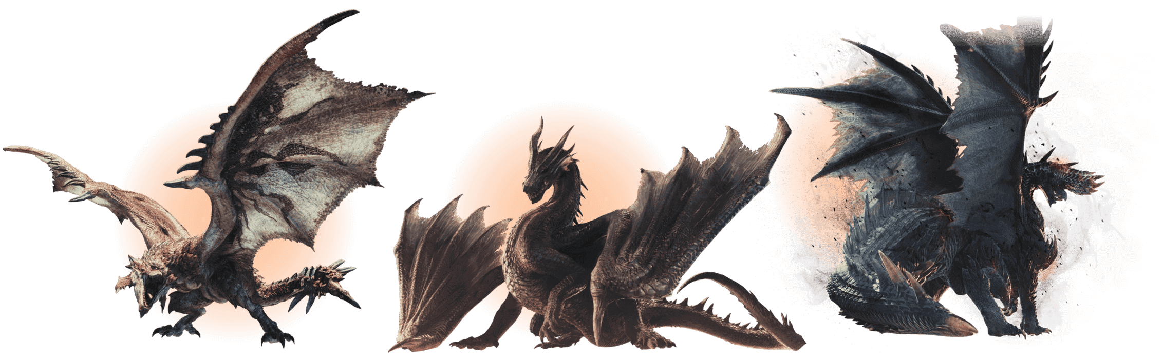 「火龍」款 「黑龍」款 「煌黑龍」款